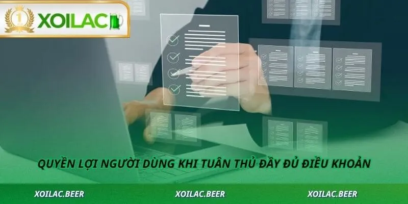 Quyền lợi người dùng khi tuân thủ đầy đủ điều khoản