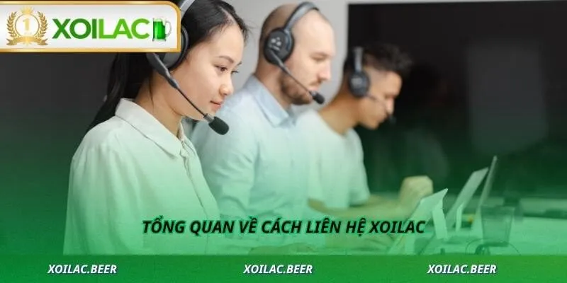 Tổng quan về cách liên hệ Xoilac