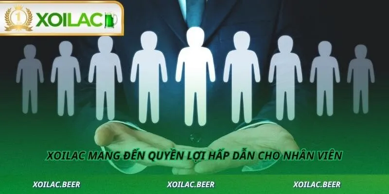Xoilac mang đến quyền lợi hấp dẫn cho nhân viên