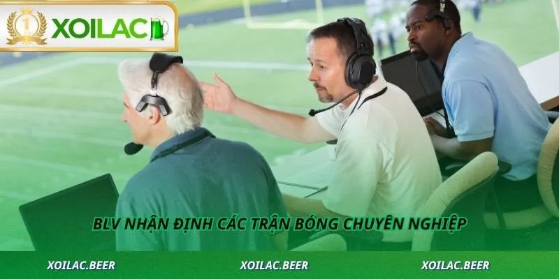BLV nhận định các trận bóng chuyên nghiệp