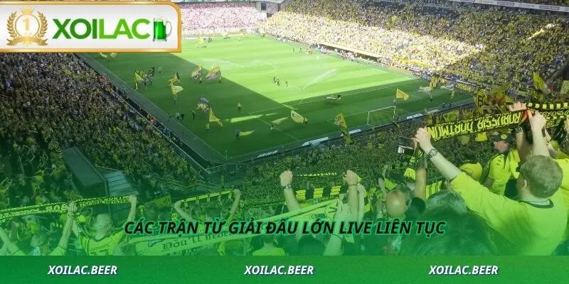 Các trận từ giải đấu lớn live liên tục
