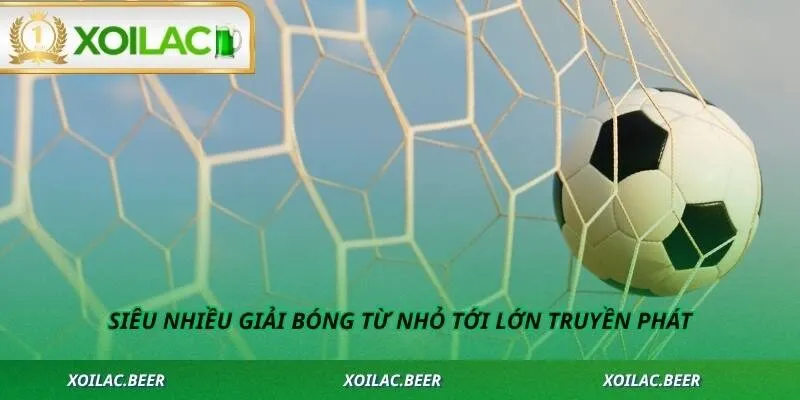 Siêu nhiều giải bóng từ nhỏ tới lớn truyền phát