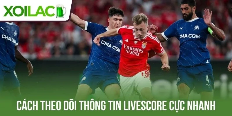 Cách theo dõi thông tin Livescore Xoilac