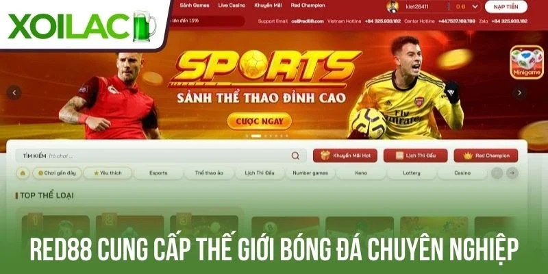 Red88 cung cấp thế giới bóng đá chuyên nghiệp