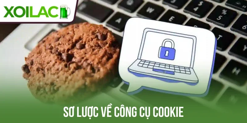 Sơ lược về công cụ Cookie