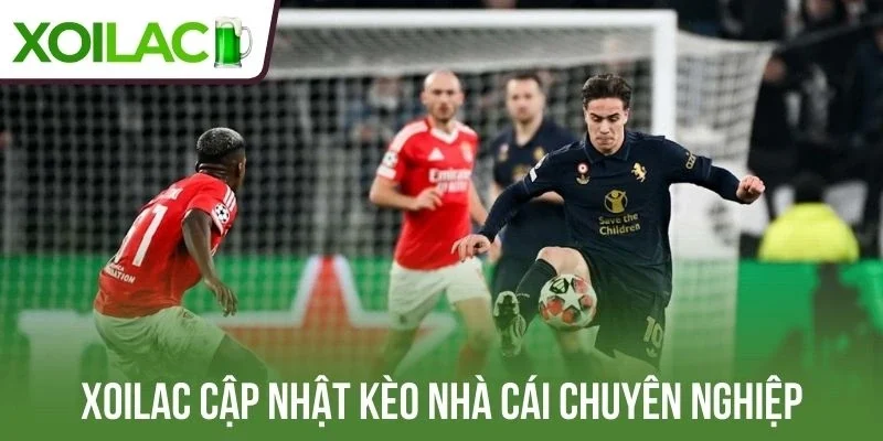 Xoilac cập nhật kèo nhà cái chuyên nghiệp