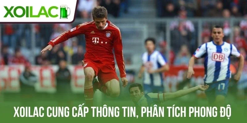 Xoilac cung cấp thông tin và phân tích phong độ đội bóng