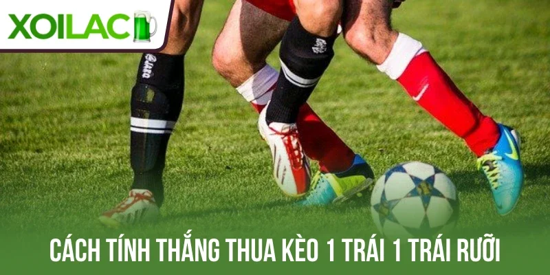 Cách tính thắng thua kèo 1 trái 1 trái rưỡi