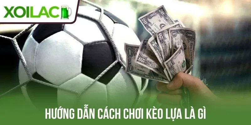 Hướng dẫn cách chơi kèo lựa là gì