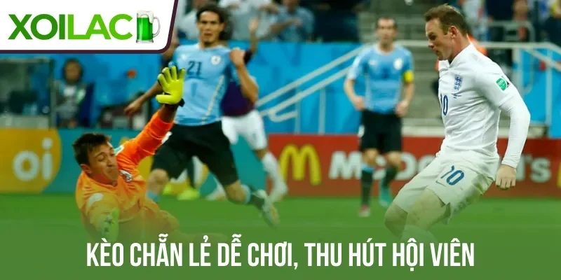Kèo chẵn lẻ dễ chơi, thu hút hội viên
