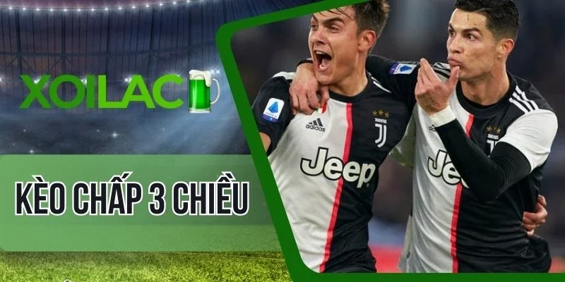 Cẩm nang đầu tư cược chấp 3 chiều cực đỉnh