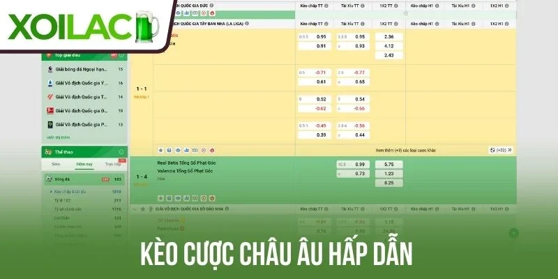 Kèo cược châu Âu hấp dẫn 