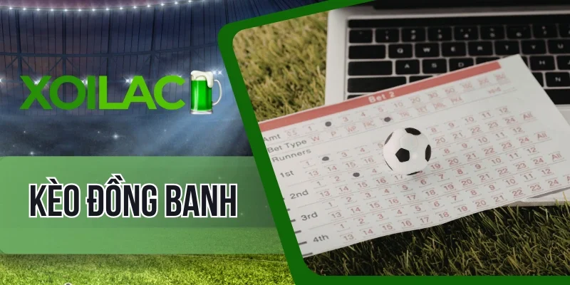 Tham gia soi kèo ở các hệ thống minh bạch