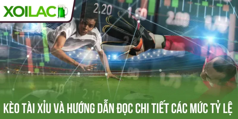 Kèo tài xỉu và hướng dẫn đọc chi tiết các mức tỷ lệ