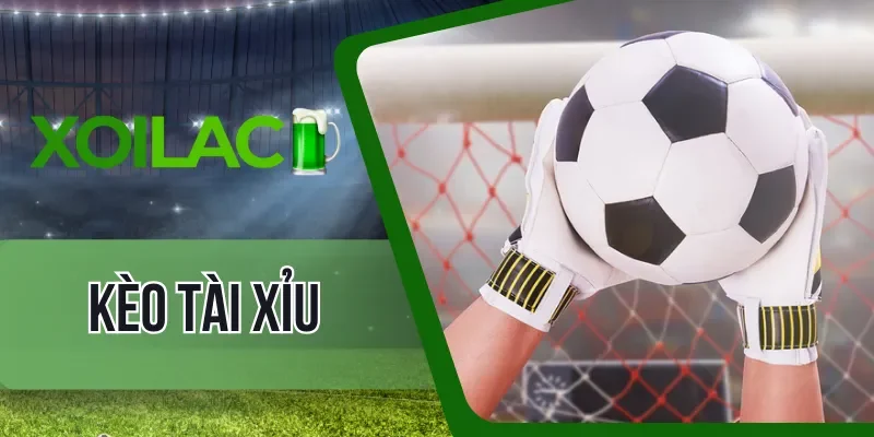 Chia sẻ bí quyết soi kèo tài xỉu đạt tỷ lệ thắng tối đa