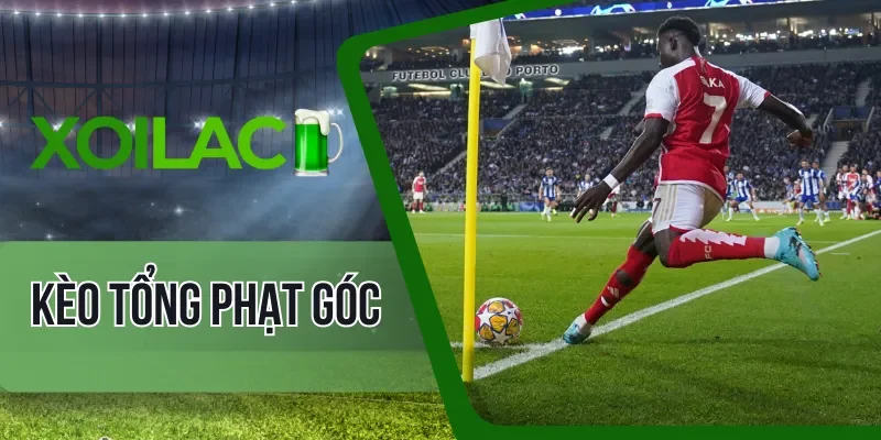 Phương pháp soi kèo tất thắng