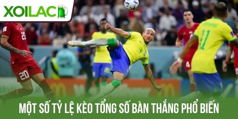 Một số tỷ lệ kèo tổng số bàn thắng phổ biến