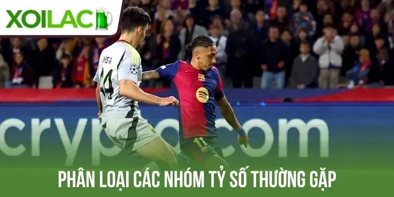 Phân loại các nhóm tỷ số thường gặp