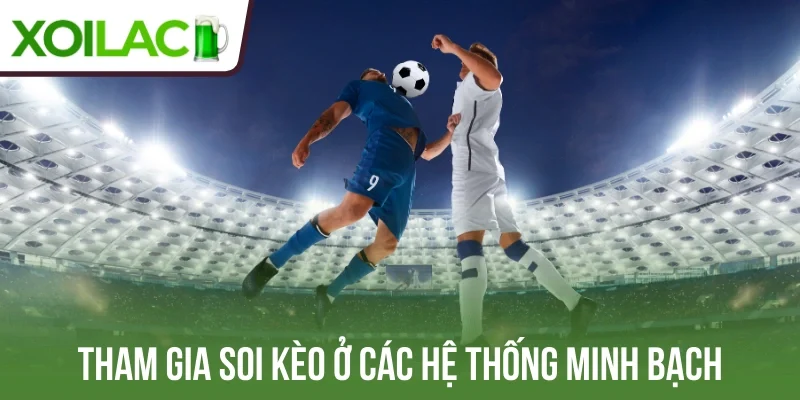 Tham gia soi kèo ở các hệ thống minh bạch
