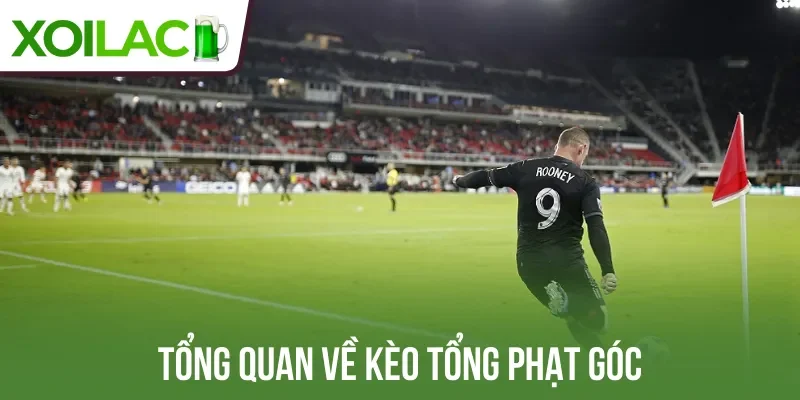 Tổng quan về kèo tổng phạt góc