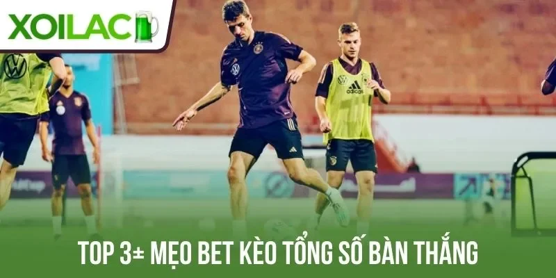 Top 3+ mẹo bet kèo tổng số bàn thắng