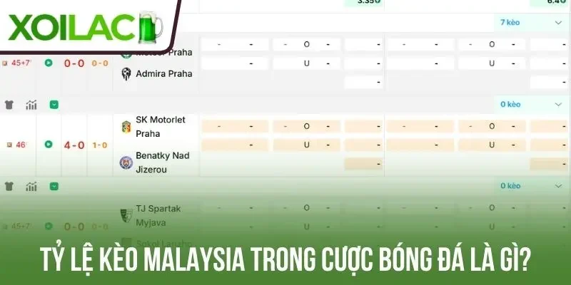 Tỷ lệ kèo Malaysia trong cược bóng đá là gì?