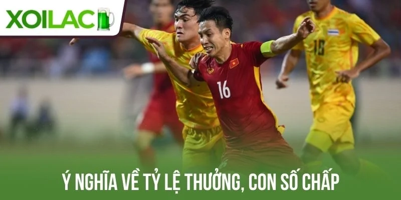 Ý nghĩa về tỷ lệ thưởng, con số chấp